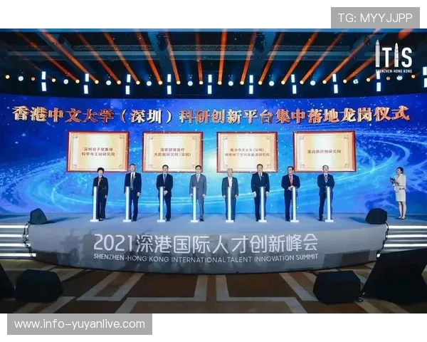 深圳排球队团队协作新模式引发热议助力竞技水平提升